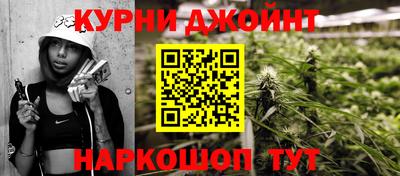 шишки Будённовск