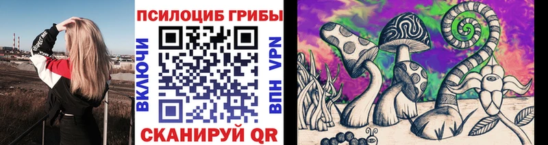 наркотики  Ивантеевка  Галлюциногенные грибы Psilocybine cubensis 