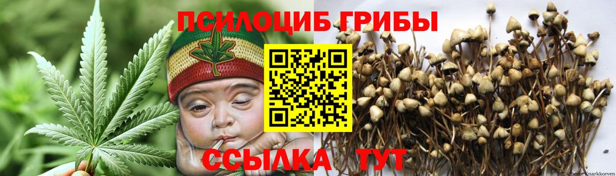 Галлюциногенные грибы Cubensis  Вход с VPN  Ивантеевка 